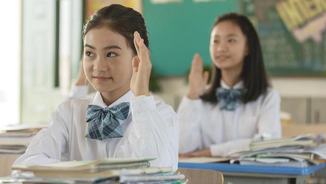 高职单招全面报考指南钉考单招k8凯发国际2025年河北省(图5)
