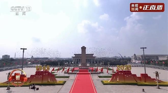 在特殊笼子放飞有的已经到家了8万羽和平鸽都是“借来”的关(图7)