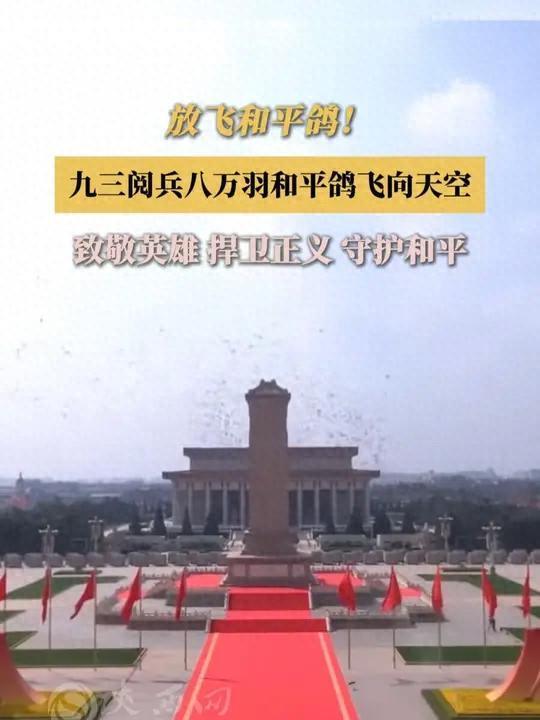 在特殊笼子放飞有的已经到家了8万羽和平鸽都是“借来”的关(图4)